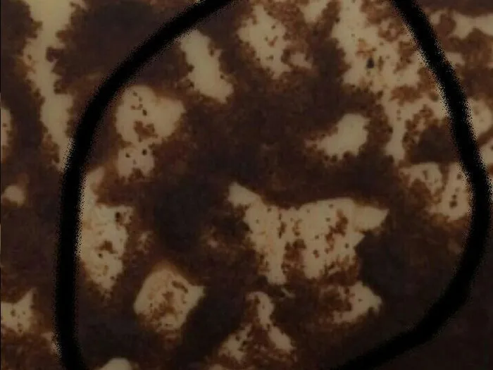 Запись на прием к гадалке в Воркуте